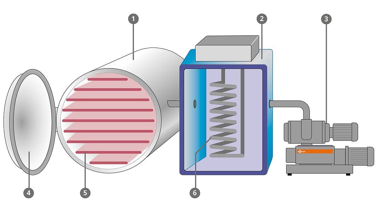 freeze_drying_fig_1